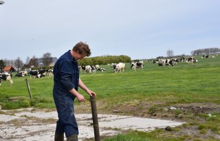 Zuid-Hollandse melkveehouder zoekt balans tussen praktijk en toekomst