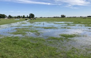 Aanpak van aaltjes is een kwestie van duurzaam beheer