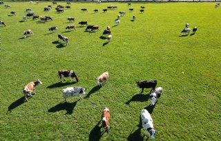 Aangifte Commissaris Groningen tegen FDF in zaak onteigening