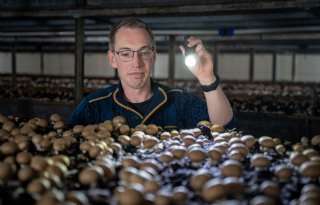 Bijscholing voor paddenstoelenteler van de toekomst