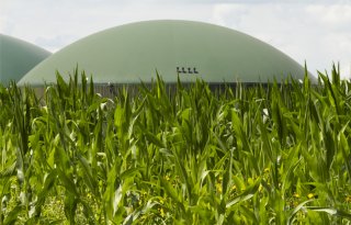 ‘Onbestaanbaar dat Groningen mestvergisting wil tegenhouden’