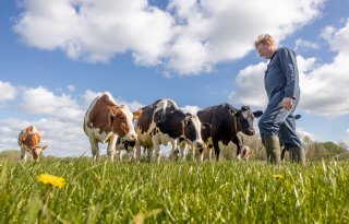 Hoe haal je meer rendement uit gras? De aanpak van Jennissen