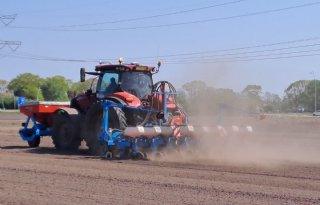 De eerste mais is inmiddels gezaaid