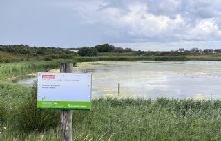 De Hollandse Duinen is Nederlands 22ste Nationaal Park