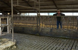 Melkveehouder Van Tilburg koelt mest en behaalt methaanreductie tot 89 procent
