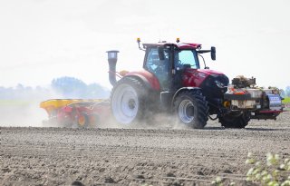 Bieten iets vroeger gezaaid dan vijfjarig gemiddelde