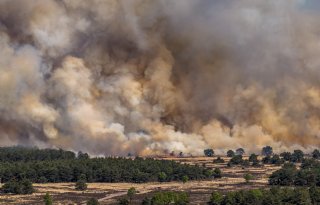 Overlast door natuurband Veluwe, generiek advies dierenwelzijn lastig af te geven