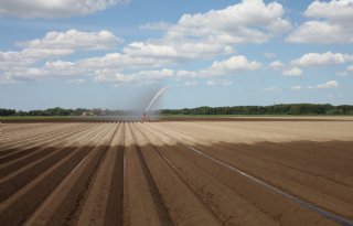 Droog voorjaar baart boeren en tuinders zorgen