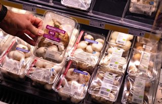 Discussie over promotie paddenstoelen: telers merken weinig van resultaten