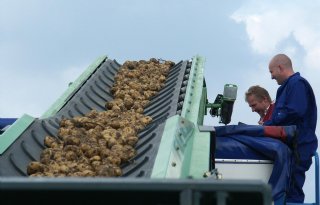 Innovators zorgen voor enig lichtpuntje op aardappelmarkt