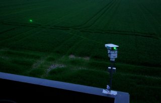Ganzen verjagen met laser pakt goed uit