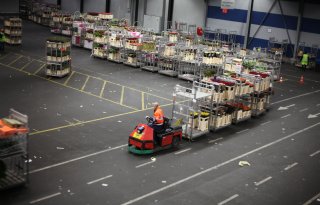 FloraHolland verkoopt 154 miljoen bloemen in drie dagen