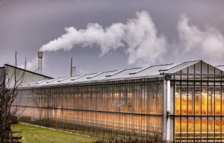 Glastuinders voelen gasprijs straks in rekening