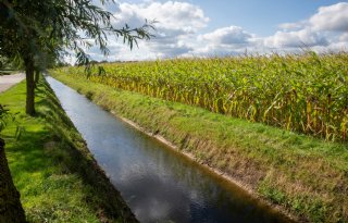 Ondernemers weten BoerenPerspectief Brabant massaal te vinden