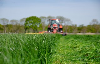 Ondernemers hebben weinig vertrouwen in de Nederlandse economie