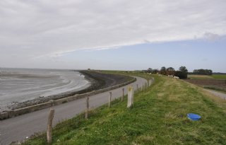 Gezond Water wil verbod op PFAS-houdende gewasbeschermingsmiddelen