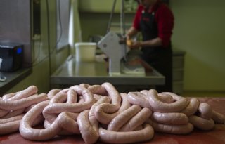 Eiwittransitie heeft last van hardnekkige systeemfouten