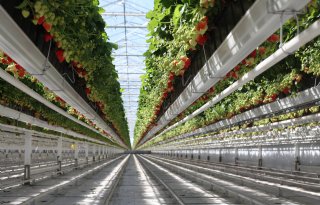 Wageningen University &amp; Research wil met Amerikanen glastuinbouw versnellen