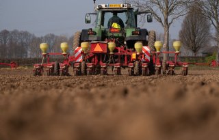 Forse krimp verwacht van Europees areaal suikerbieten