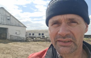 Oekraïne-vlogger Kees Huizinga: ‘Koeien shoppen bij een collega’