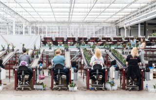 ‘Automatisering betekent niet dat we werknemers vervangen’