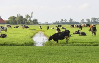 Landbouw steeds productiever en met minder milieudruk, maar vooruitgang vlakt af