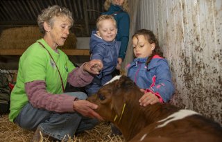 Honderden bezoekers op bedrijf van familie Peer tijdens Campina Open Boerderijdagen