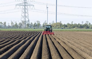 Peiling: Hoe kan de marktpositie van aardappeltelers worden versterkt?