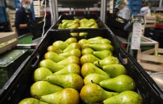 Teler is aansprakelijk voor holle peren, maar veiling moet het diepst in de buidel tasten