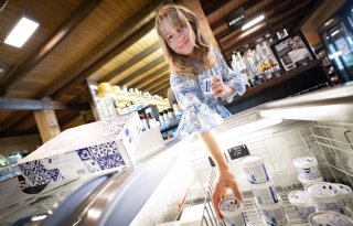 Friese veehouder levert Skyld: ijs van schapenmelk gericht op weerstand