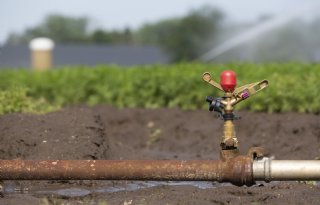 Brabant zet in op fors minder grondwatergebruik voor beregening