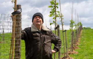 ‘Notenteelt biedt boeren meervoudige winst’
