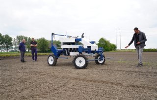 Telers zoeken alternatief spuit- en handwerk