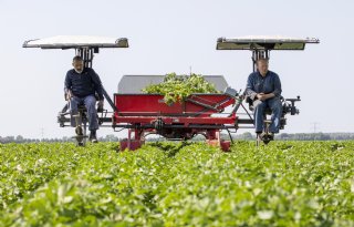 Boeren en tuinders lopen grootste risico op huidkanker