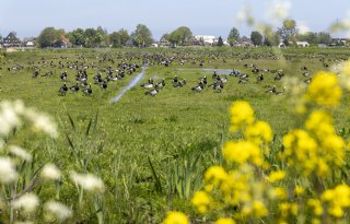 Provincies weten explosief gestegen faunakosten te drukken