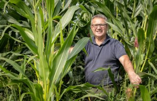 ‘Nog veel open eindjes in Toekomstgericht Landelijk Gebied Drenthe’