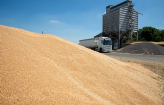 Opslag van tarwe in de buurt van Etampes, ten zuiden van Parijs