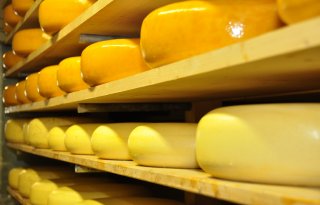 Belgische kaasproductie groeit 40 procent in vijf jaar