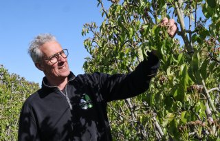 ‘Onze expertise is perfecte peren telen voor lange bewaring’