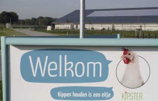 Kipster heeft nieuwe CEO, oprichter Zanders blijft betrokken