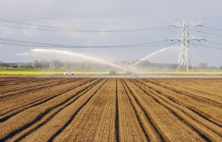 Klimaatverandering levert Nederlandse boeren en tuinders ook kansen op