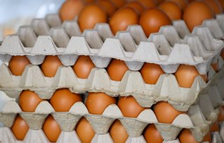 Eierprijzen duiken onder het niveau van vorig jaar