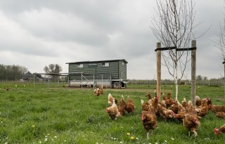 Van kalvercrêche tot compoststal: Barth-Misset Fonds financiert zeven nieuwe projecten