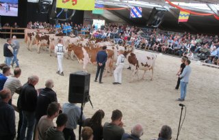 Bossink Joke 178 algemeen kampioen Nationale Roodbontshow