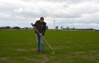 Vlas vervangt uien in bouwplan voor beter rendement