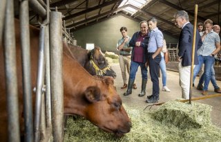 Jetten na werkbezoek: ‘Ruimte houden voor maatwerk naast generieke maatregelen in stikstofaanpak’