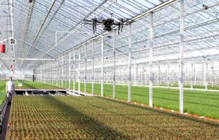 Tuinbouw bereikt recordwaarde van 33 miljard euro