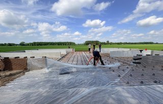 Bouw onderzoeksstal voor kalveropfok gestart in Wijhe