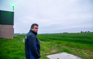 Ganzen verjagen als een soort verzekering