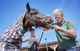 Met humor, paardentaal en handvijl verkeert gebit in prima staat